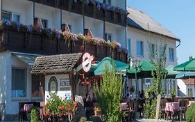 Gasthof Pension Auzinger Meggenhofen 3* Österreich